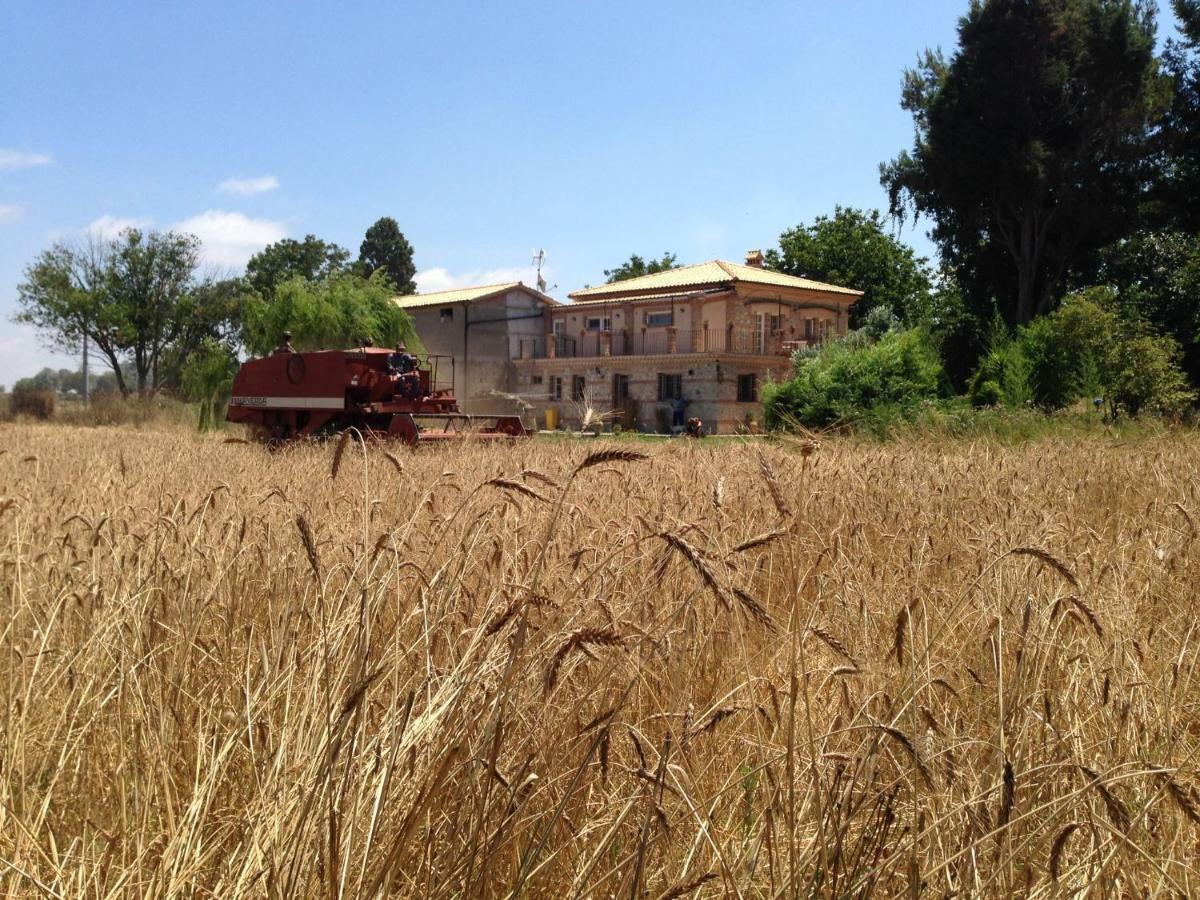 Villa Don Carlo Agriturismo Di Charme Bio Le Pioppe Exterior foto